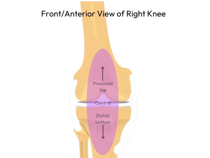 Common Causes And Solutions To Cycling-related Knee Pain - MyVeloFit