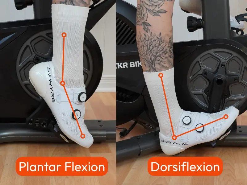 Plantar and Dorsifleion part of ankling cycling blog post